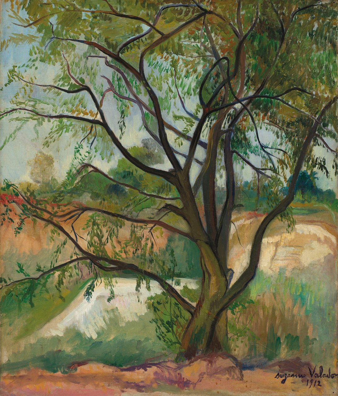 Der Baum, 1912 von Suzanne Valadon