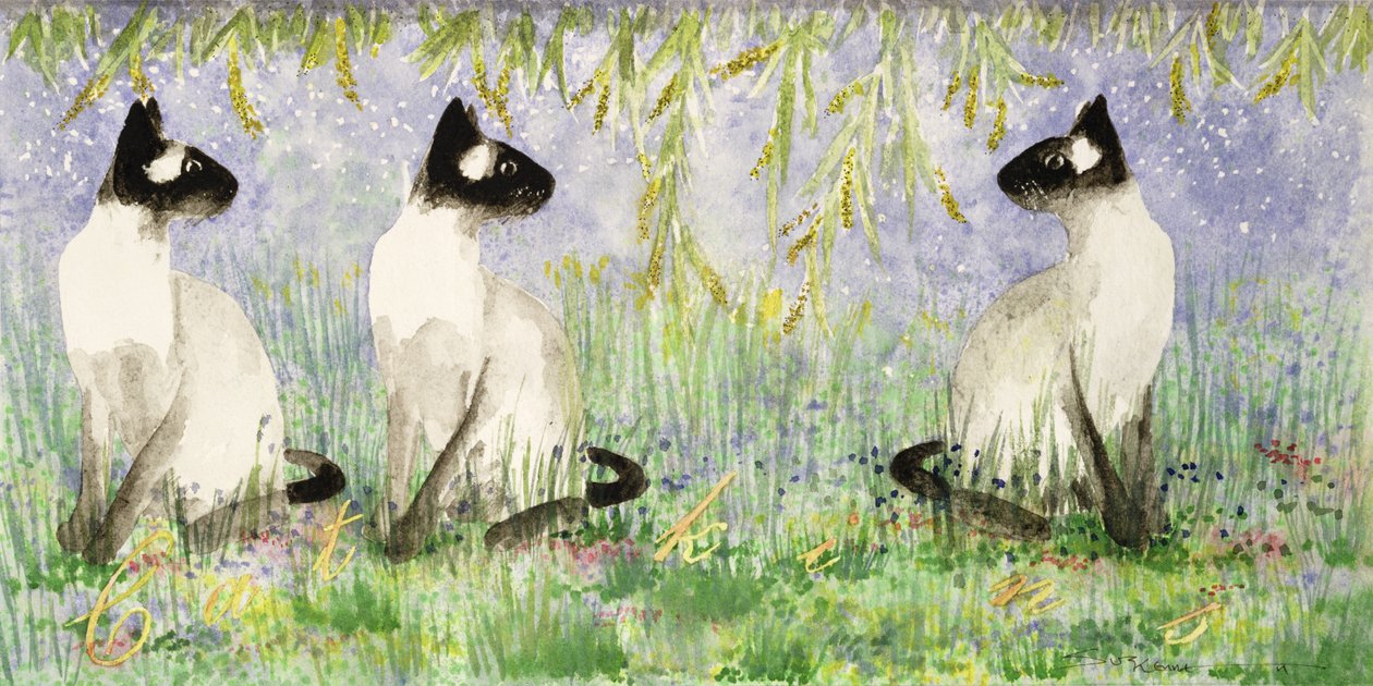 Katze Kins von Suzi Kennett