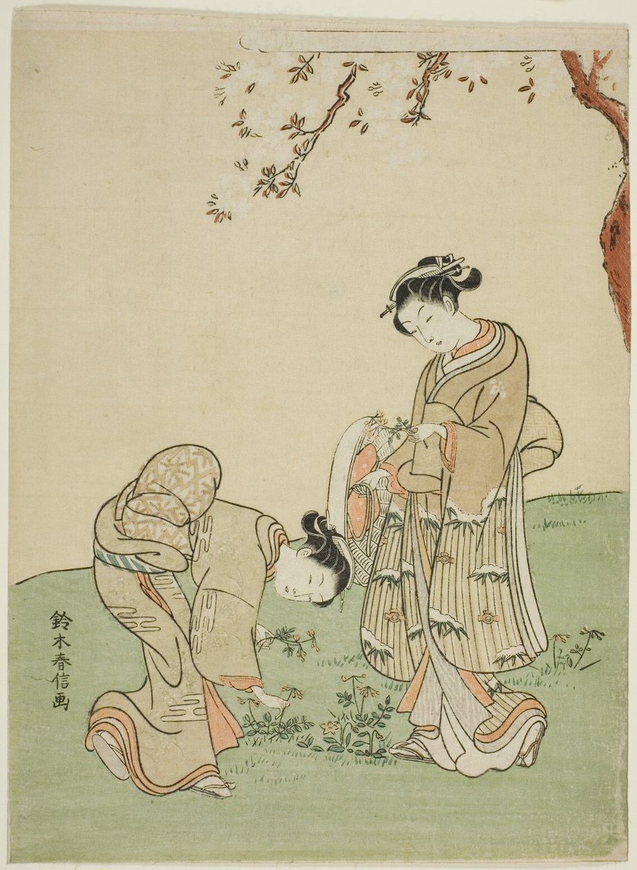 Frühlingsblumen sammeln von Suzuki Harunobu
