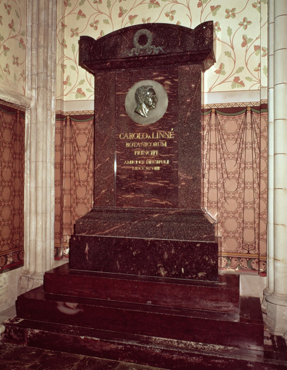 Das Grab von Carl Linnaeus (1707-78) von Swedish School