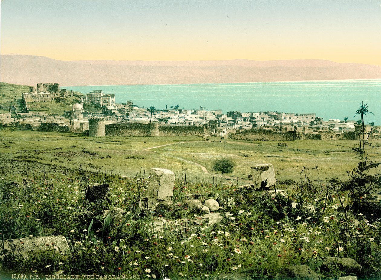 Blick auf Tiberias von Süden, ca. 1880-1900 von Swiss Photographer