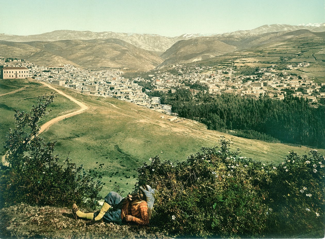 Zahleh, Anti-Libanon, ca. 1880-1900 von Swiss Photographer