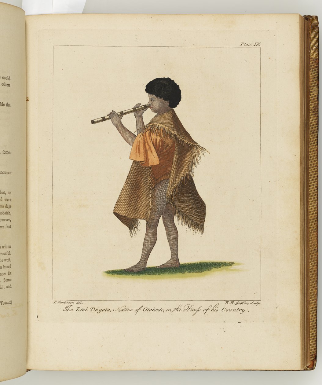 Illustration aus Ein Tagebuch einer Reise in die Südsee: in Seiner Majestät Schiff, der Endeavour, 1794 von Sydney