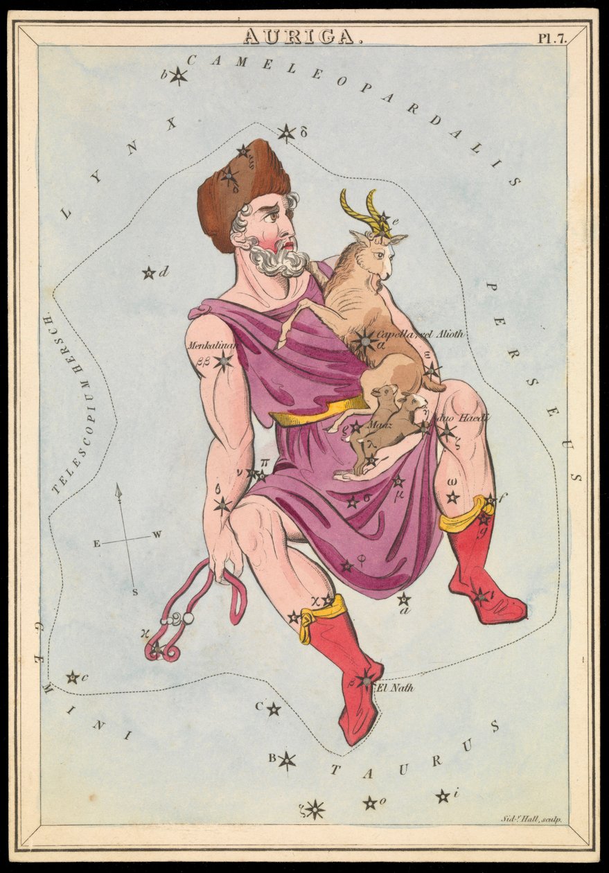 Auriga, ca. 1825 von Sydney Hall