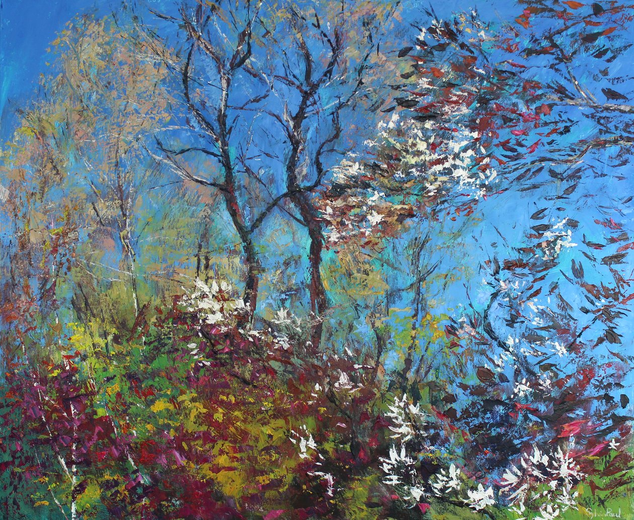 Blüten und blauer Himmel von Sylvia Paul