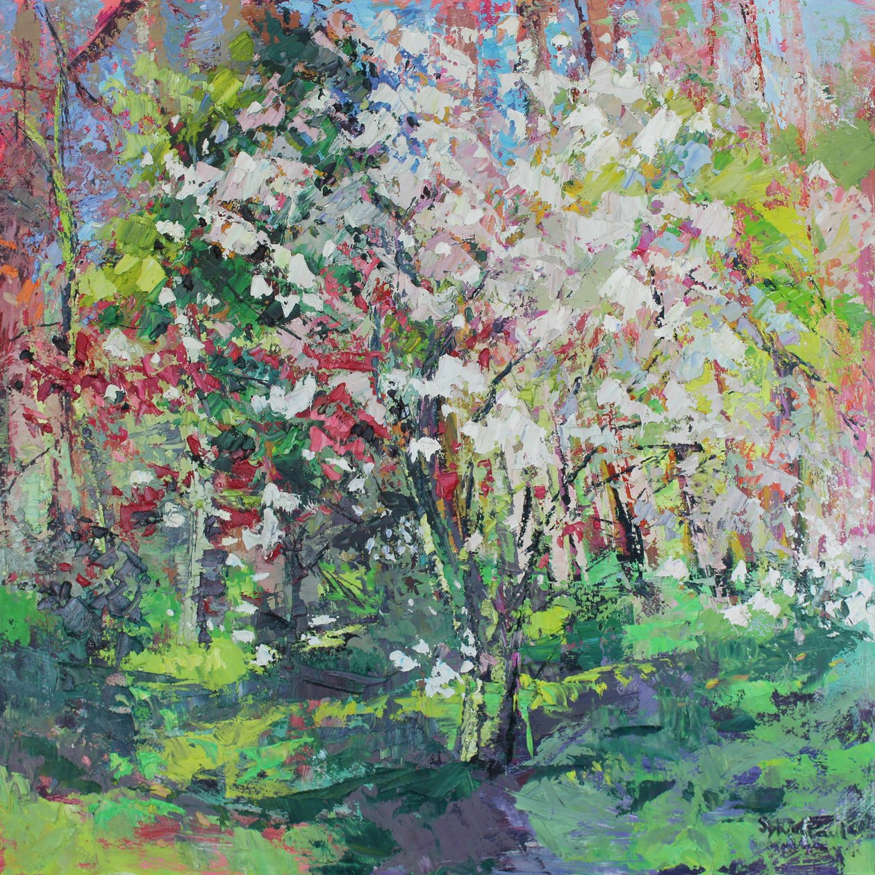 Blüte im Wald von Sylvia Paul