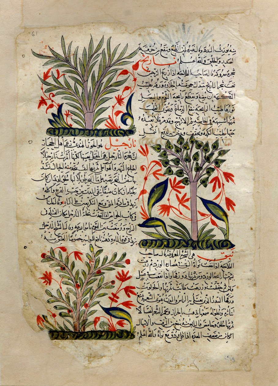 Illustrationen von Unknown