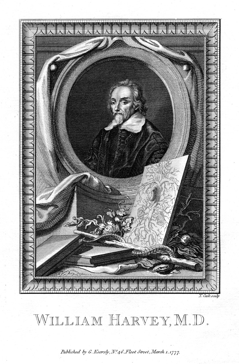 William Harvey, Arzt, 1777 von T. Cook