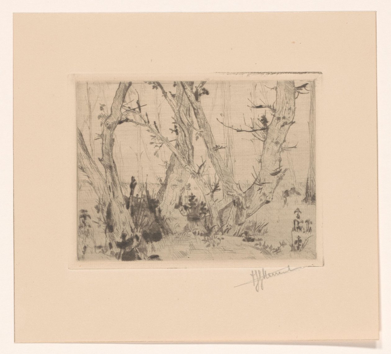 Waldansicht von T. Sterrenburg (signed by artist)