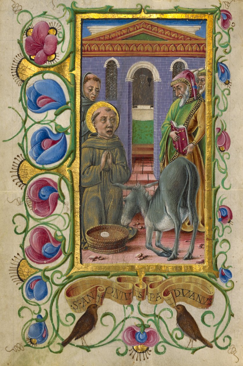 Heiliger Antonius von Padua von Taddeo Crivelli