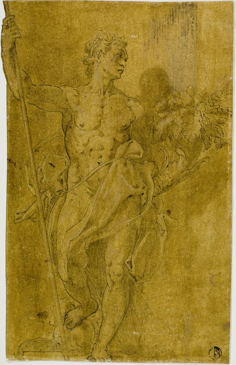 Studie für männliche allegorische Figur von Taddeo Zuccaro