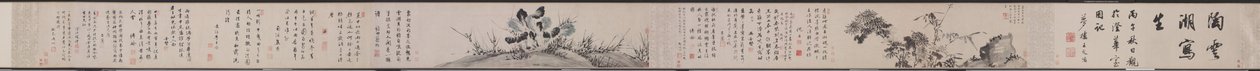 Chrysanthemen und Kohl von Tao Cheng