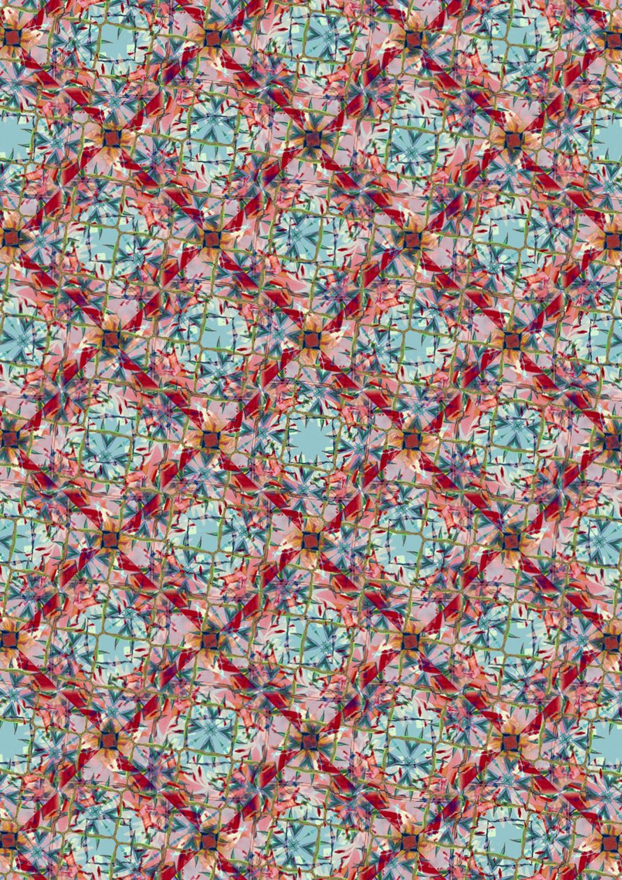 Exotische Mischung von Tara Whitehead