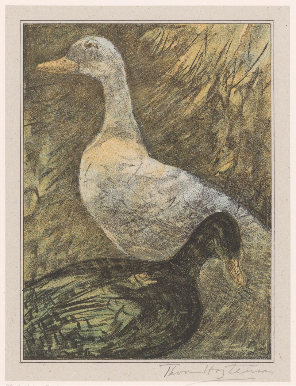 Zwei stehende Enten von Theo van Hoytema (signed by artist)
