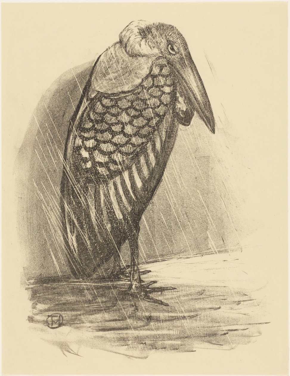 Marabu im Regen von Theo van Hoytema