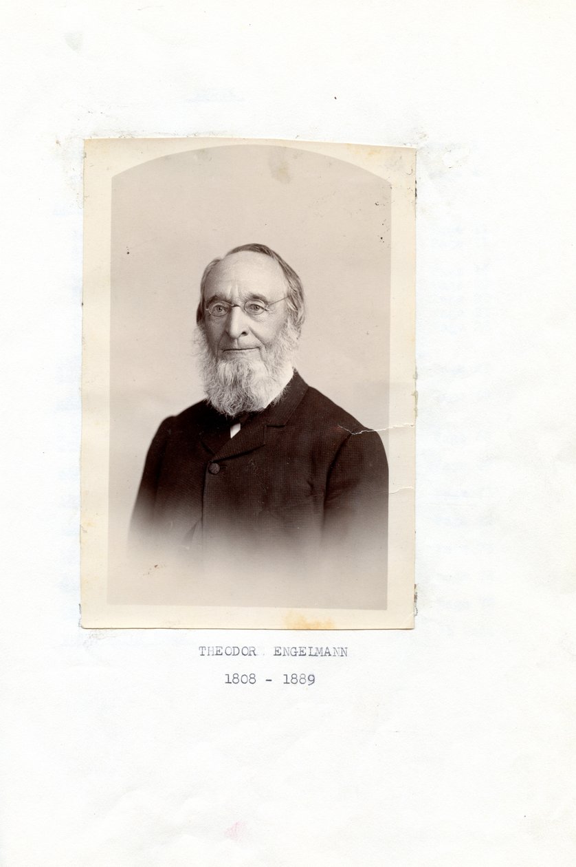 Theodore Engelmann Erinnerungen von Theodor Engelmann