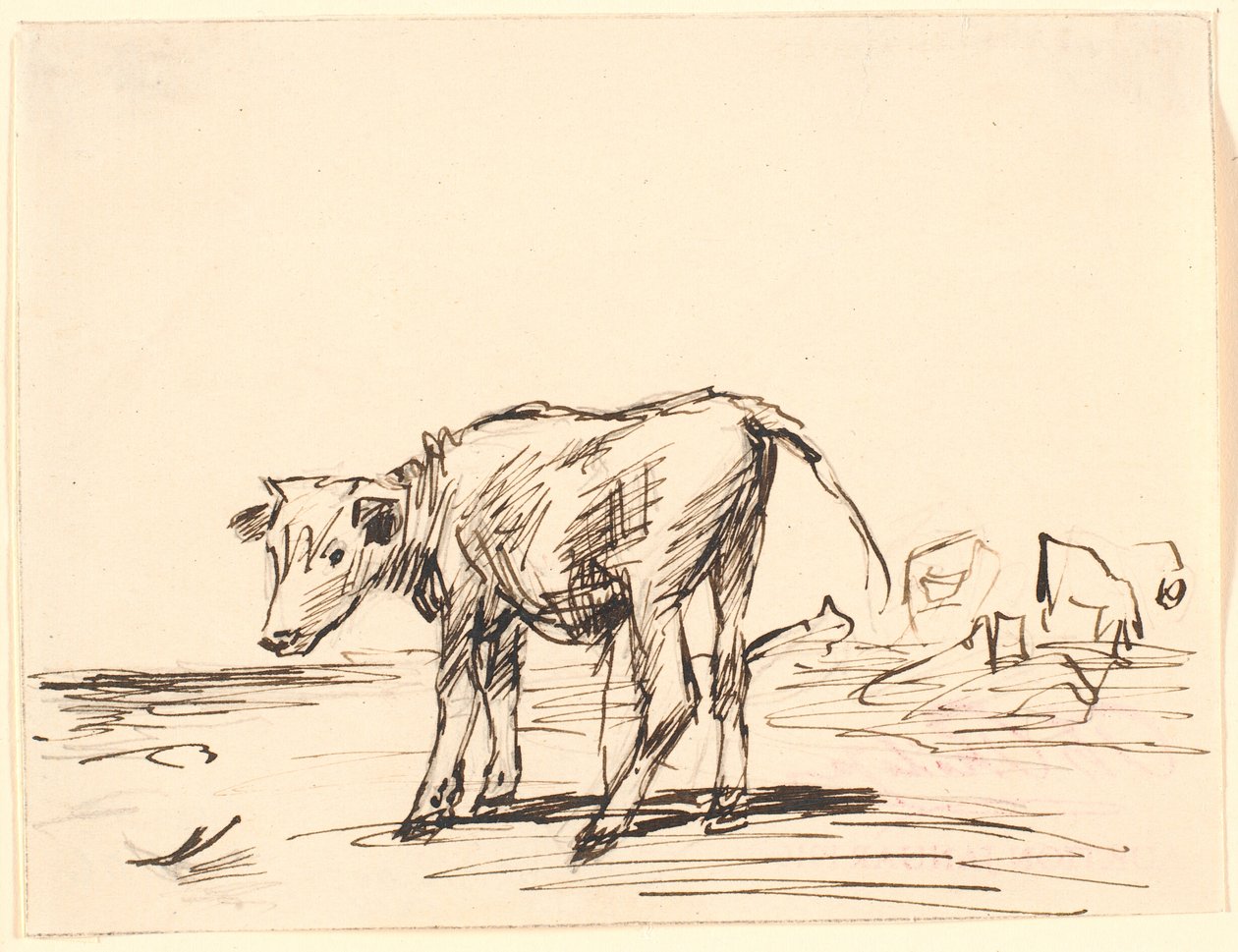 Ein Stierkalb von Theodor Philipsen