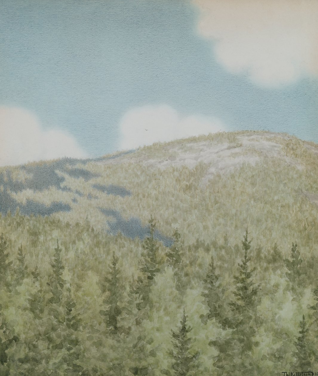 Ein Vogel flog dort von Theodor Kittelsen