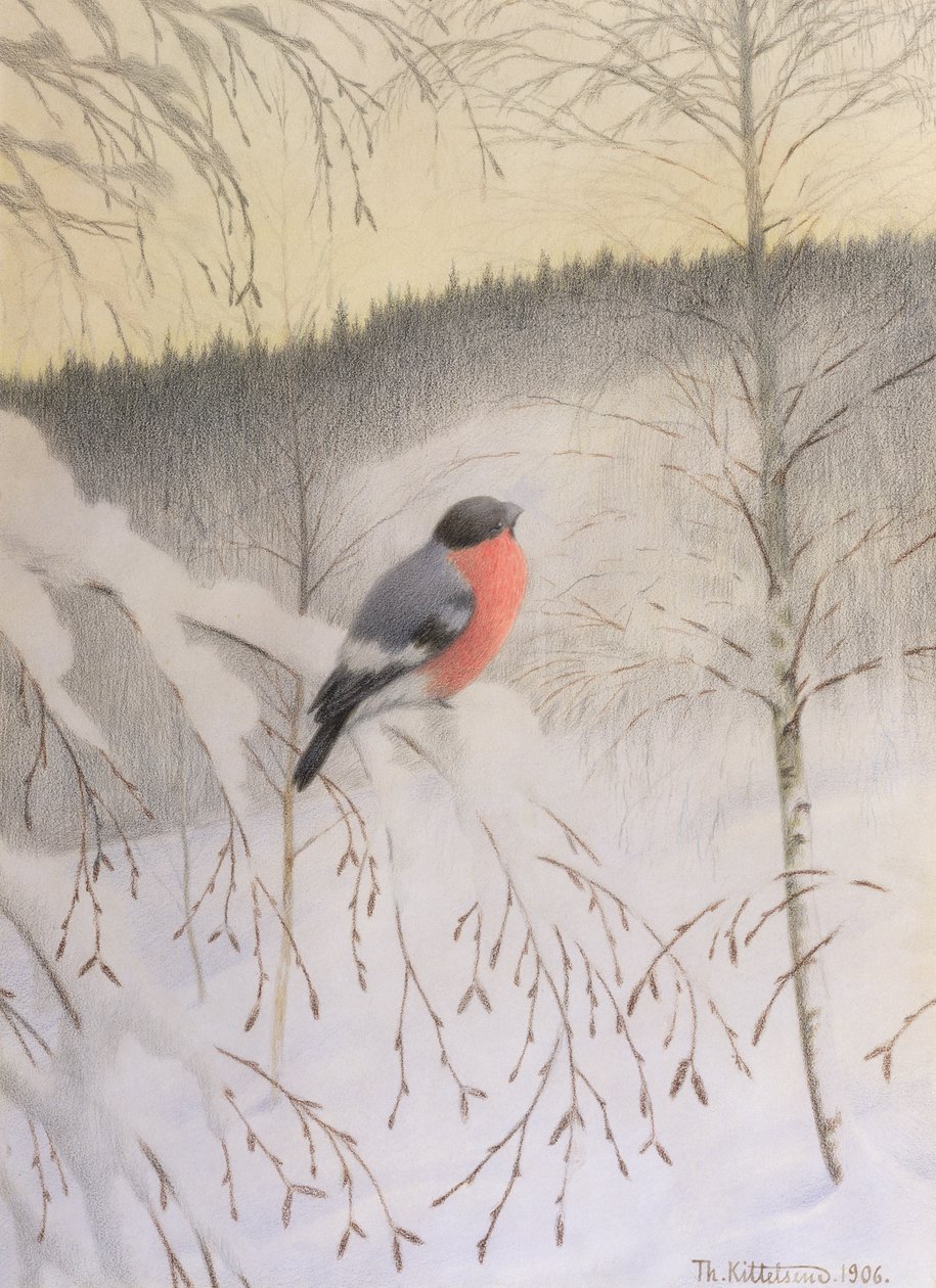 Gimpel auf frostigem Zweig von Theodor Kittelsen