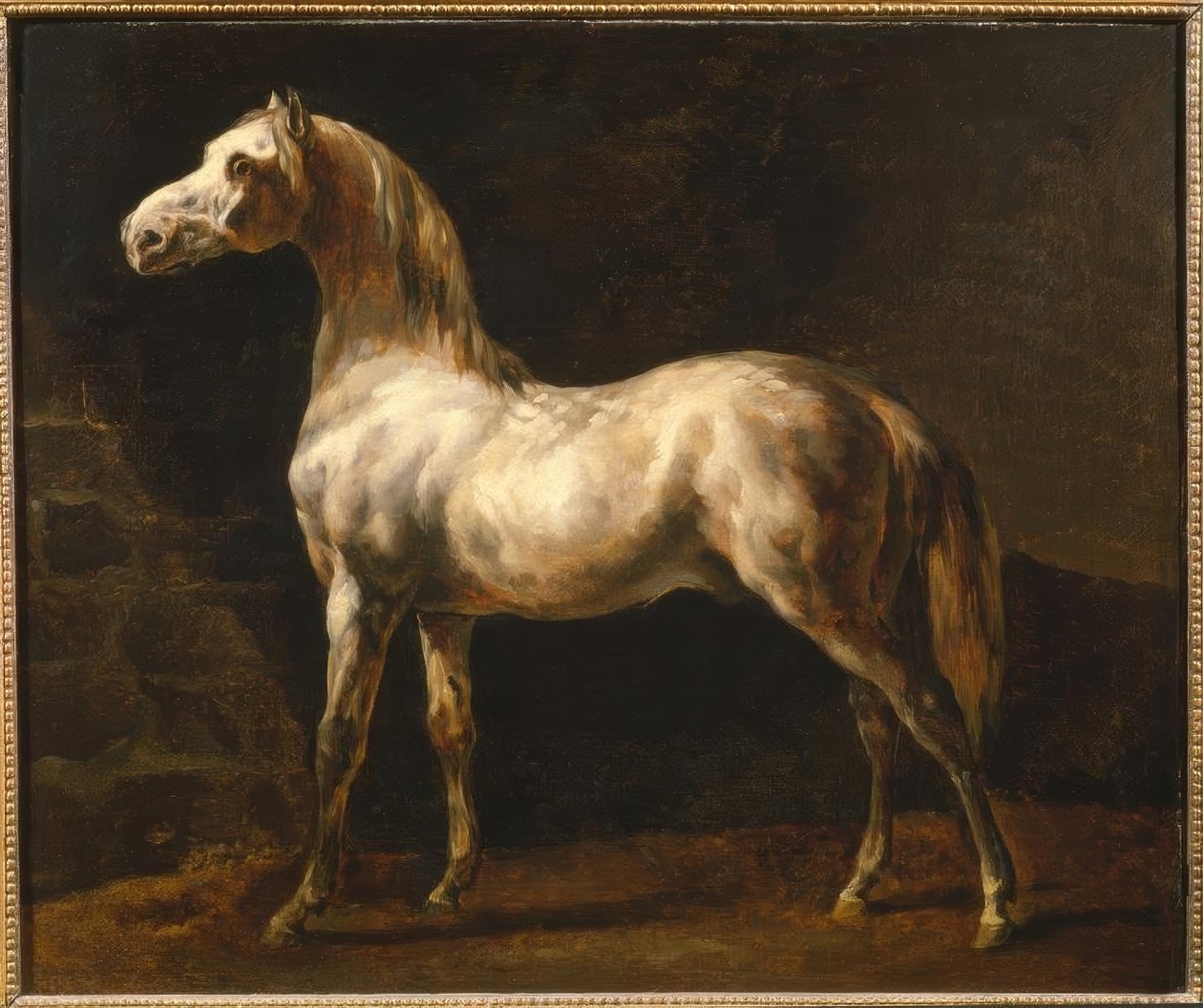 Der weiße Hengst von Theodore Gericault