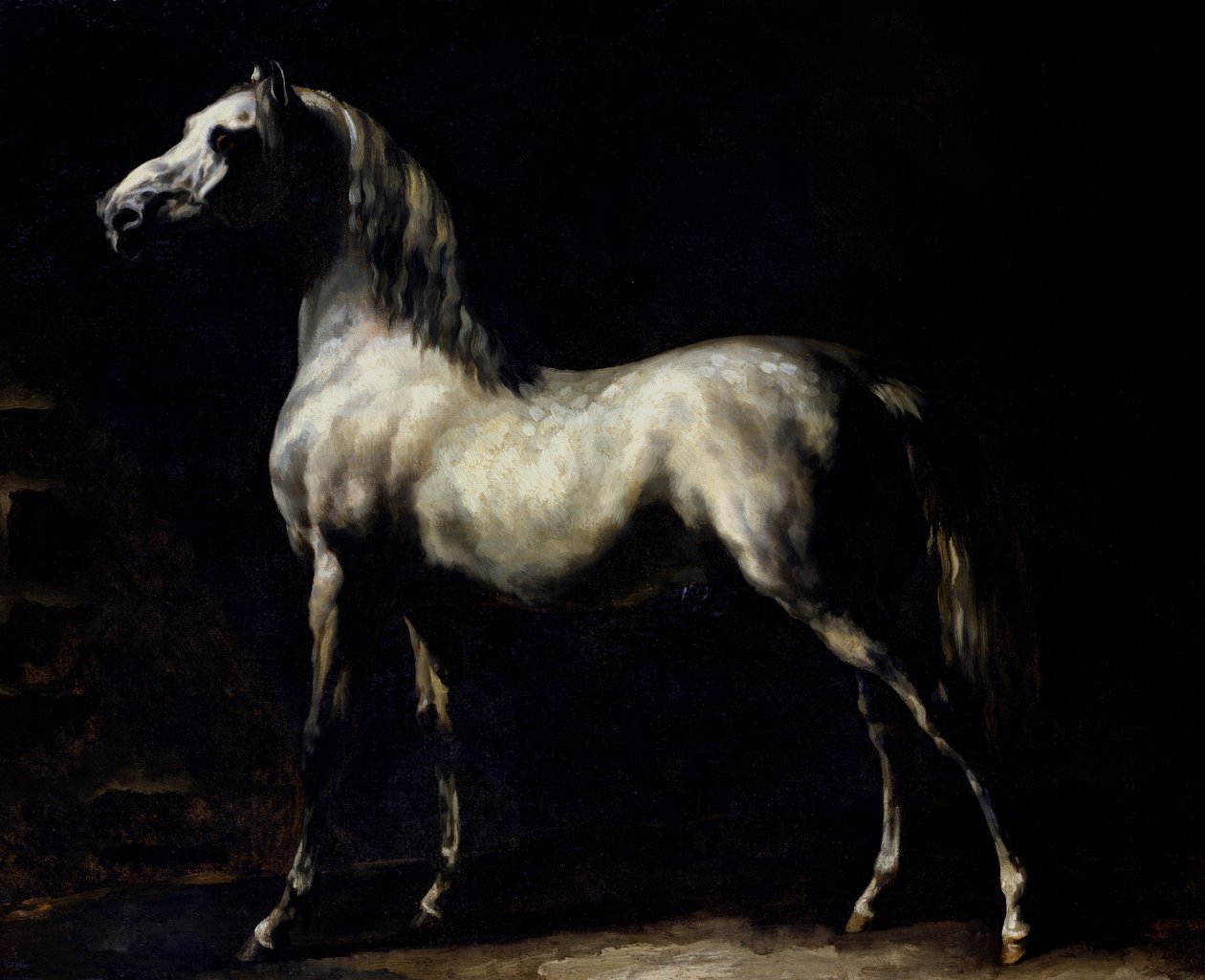 Studie eines Apfelschimmels von Theodore Gericault