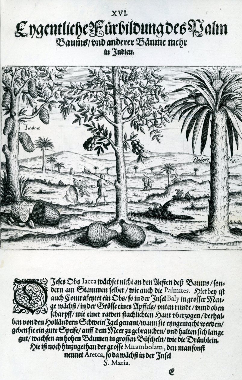 Landschaft, Illustration aus 