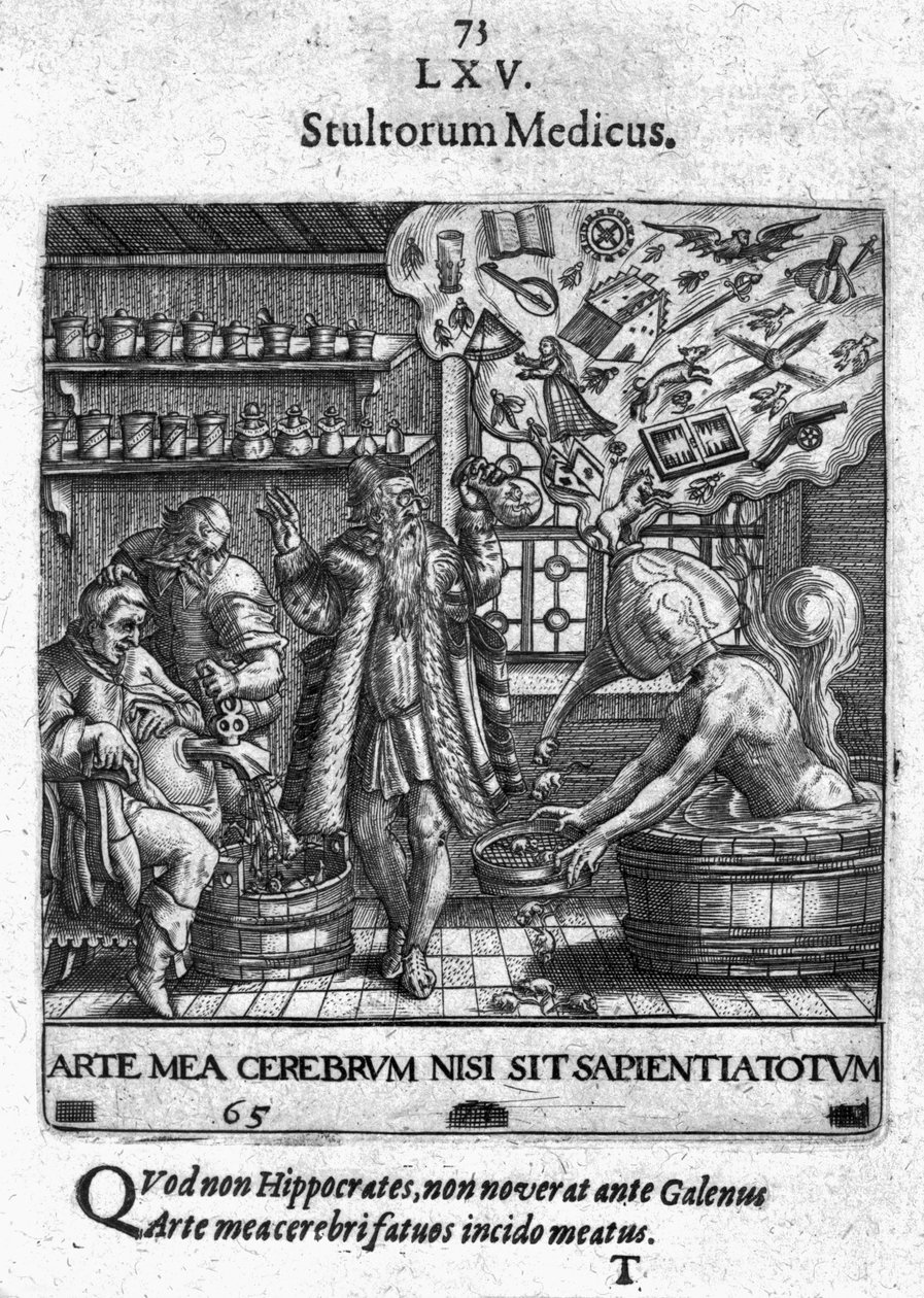 Stultorum Medicus aus 