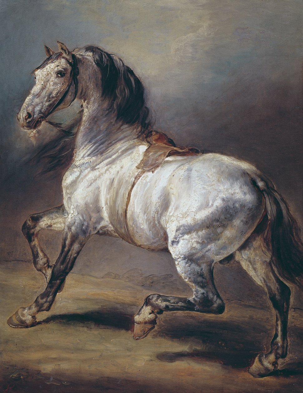 Studie eines Pferdes von Theodore Gericault