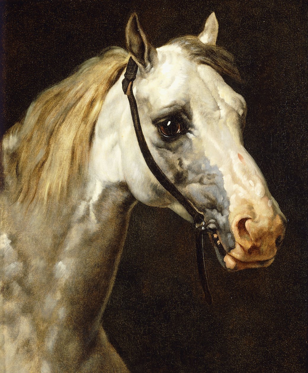 Kopf eines Scheckenpferdes von Theodore Gericault