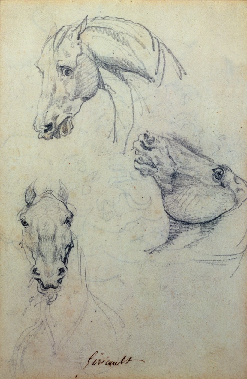 Drei Pferdeköpfe von Theodore Gericault