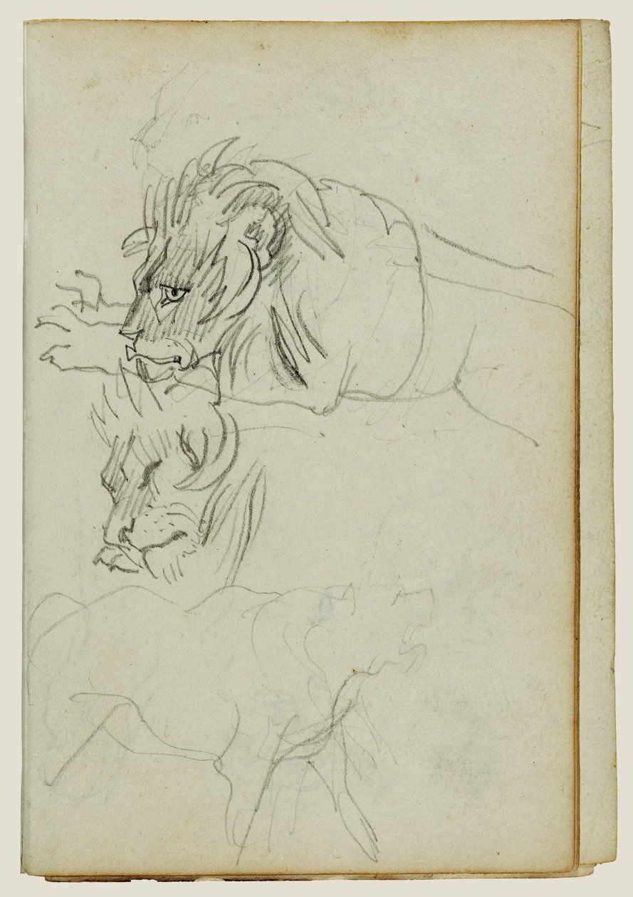 Drei Löwenstudien von Theodore Gericault