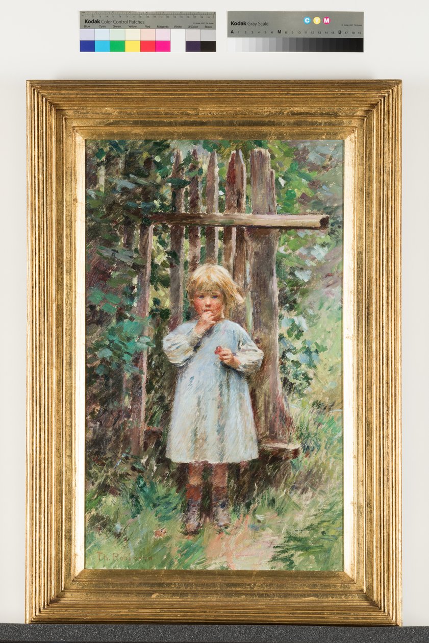 Ein Plünderer von Theodore Robinson
