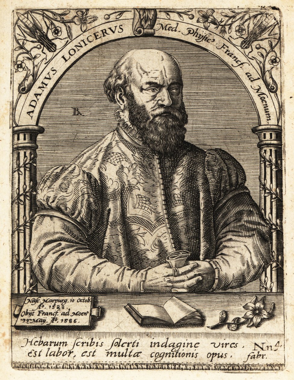 Adam Lonicer oder Lonitzer von Theodore de Bry