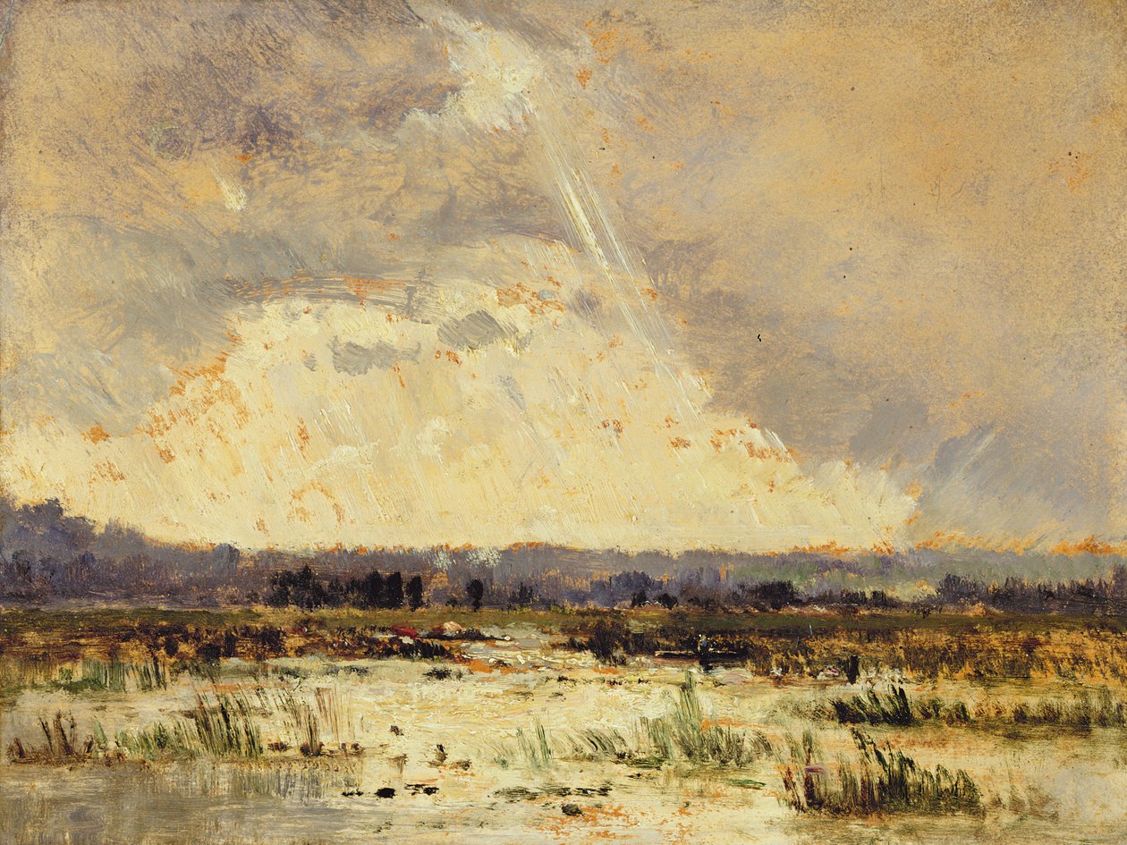 Das Moor in der Souterraine, 1842 von Pierre Etienne Theodore Rousseau