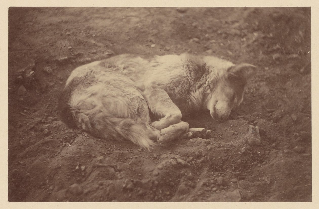 Schlafender Hund von Théodule Devéria