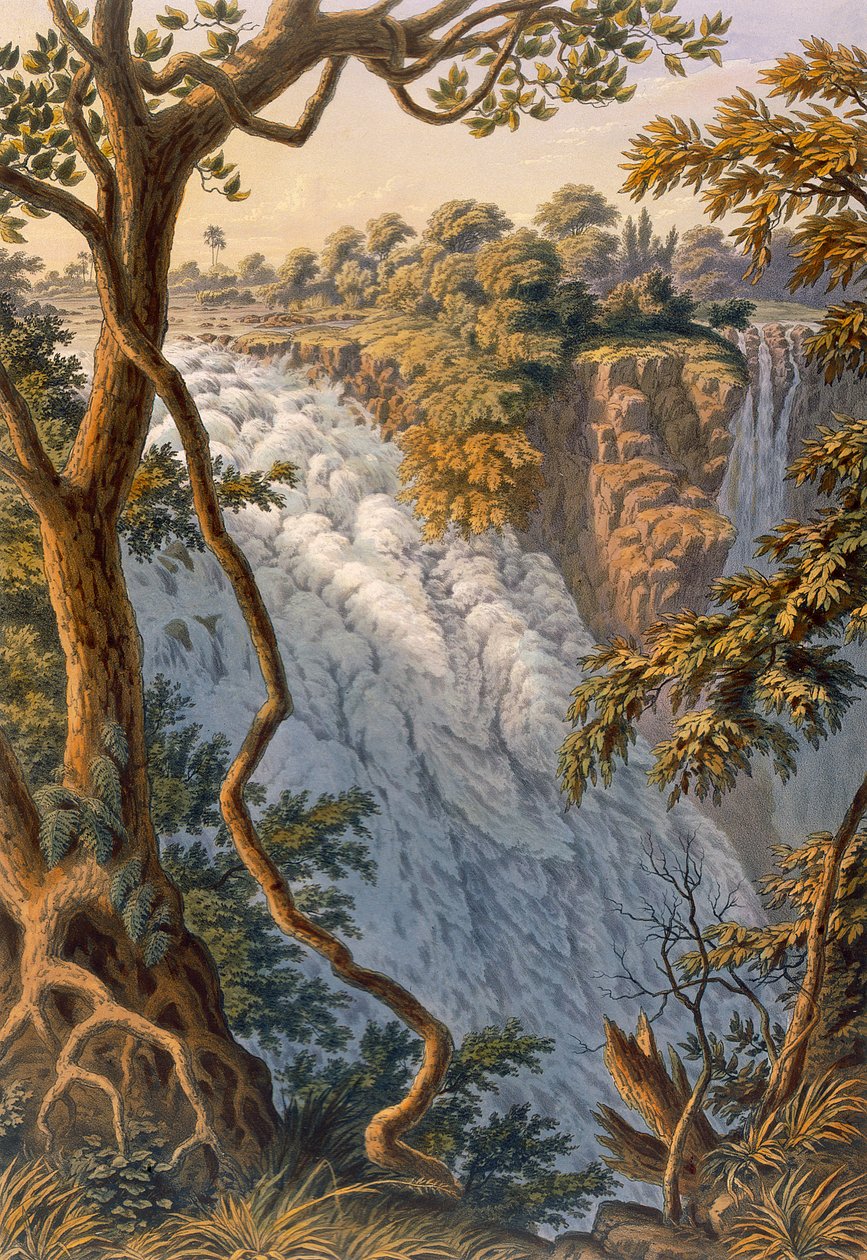 Victoriafälle: Das springende Wasser von Thomas Baines