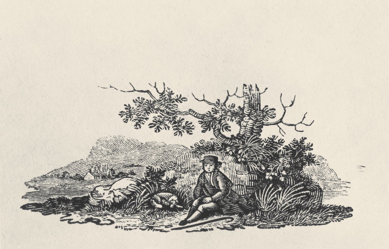 Ein Gentleman unter einem Baum, aus Land Birds, veröffentlicht 1797 (Holzstich) von Thomas Bewick