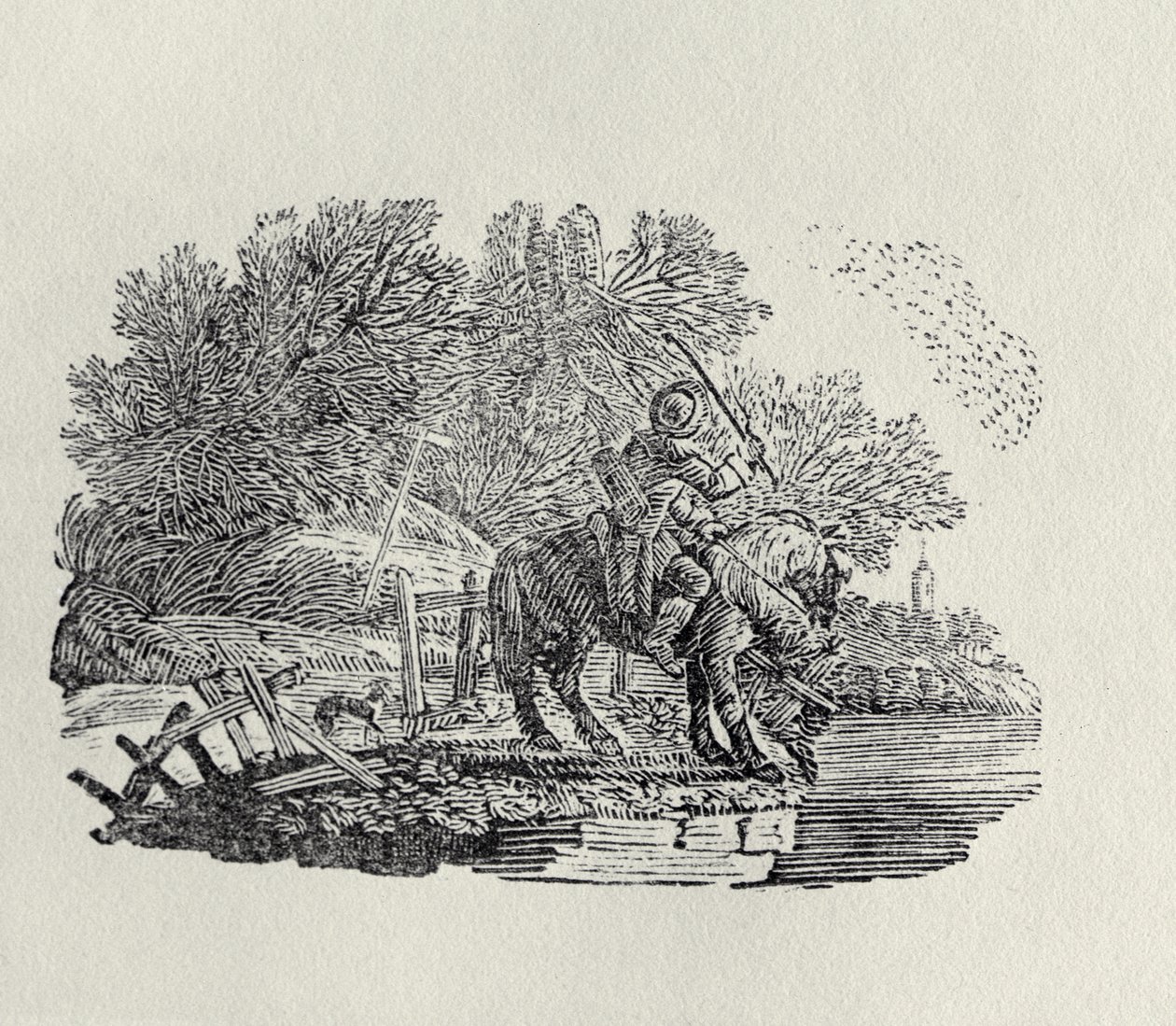 Ein Reiter, abgelenkt von einem Vogelschwarm von Thomas Bewick