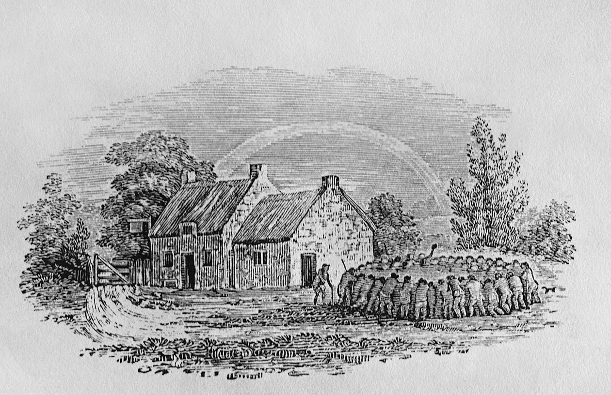 Hahnenkampf vor einem Gasthaus, ca. 1801, aus 