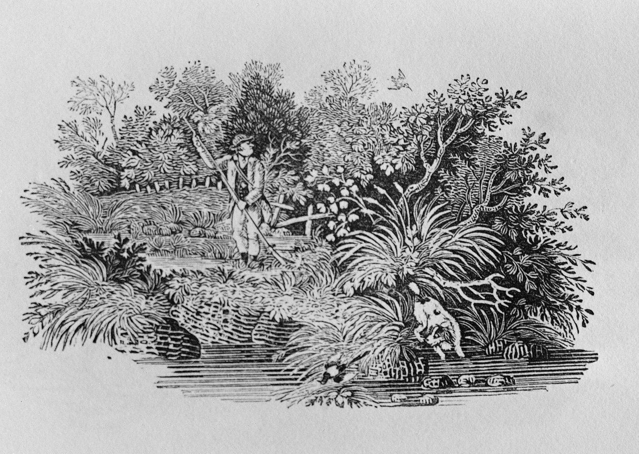 Auf der Suche nach dem Schuss, späte 18. oder frühe 19. Jahrhundert von Thomas Bewick