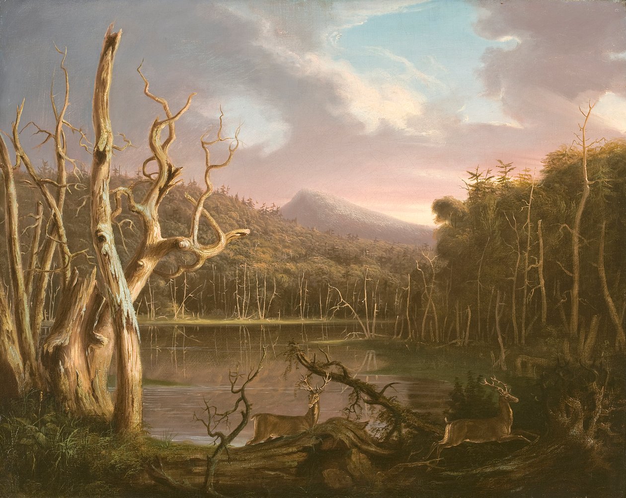 See mit toten Bäumen (Catskill) von Thomas Cole