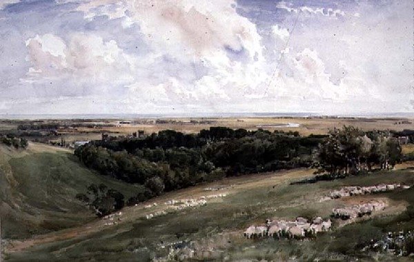 Arundel Park, Sussex von Thomas Collier