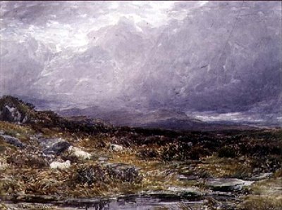 Auf den Siabod-Flats, Nordwales von Thomas Collier