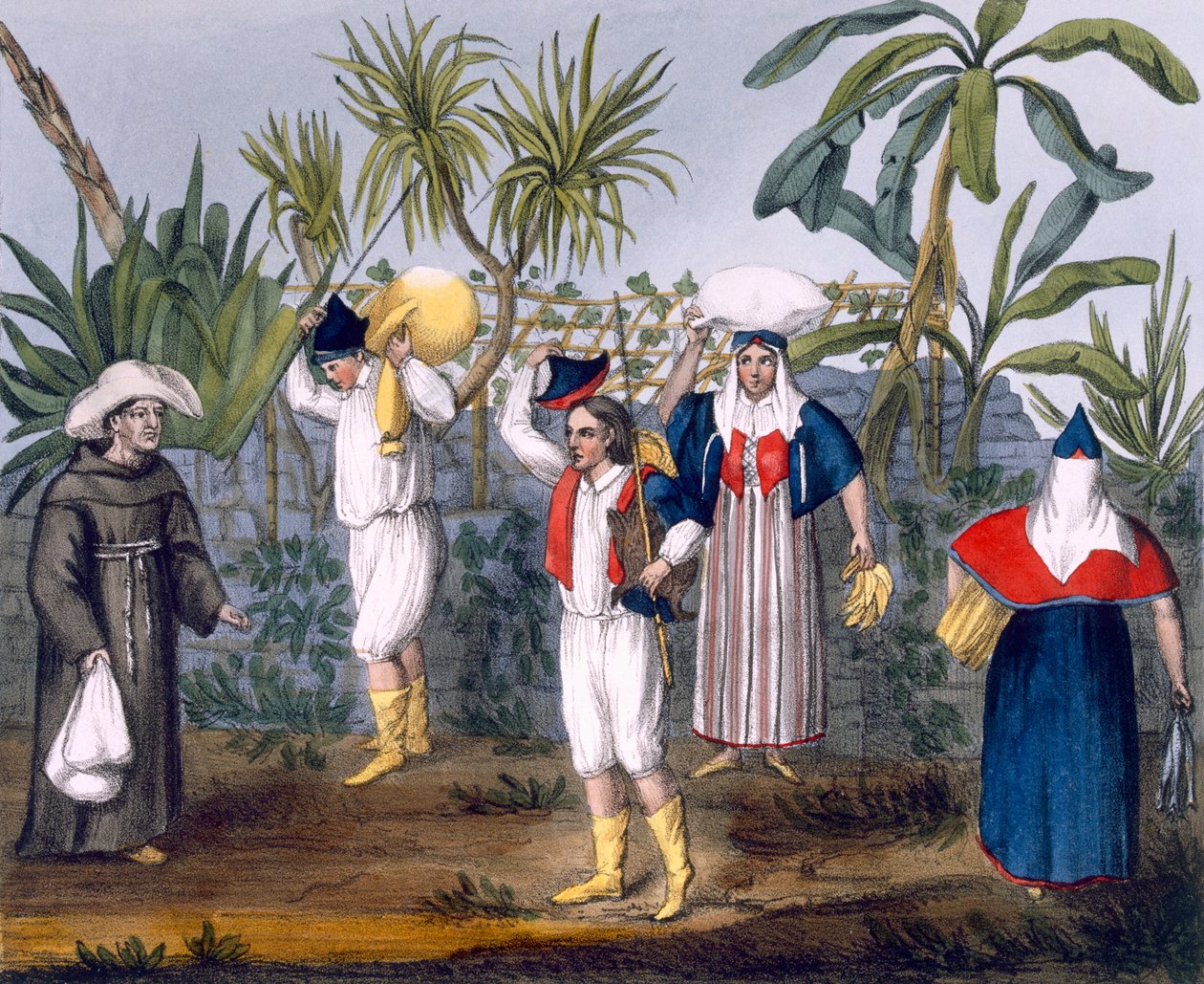 Kostüm von Gambia, Tafel Nr. 9 aus 
