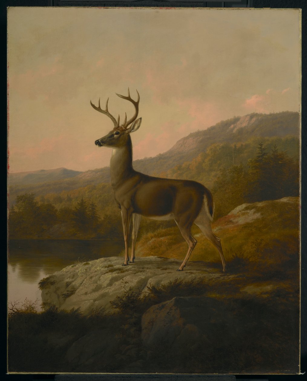 Hirsch, 1855 von Thomas Hewes Hinckley