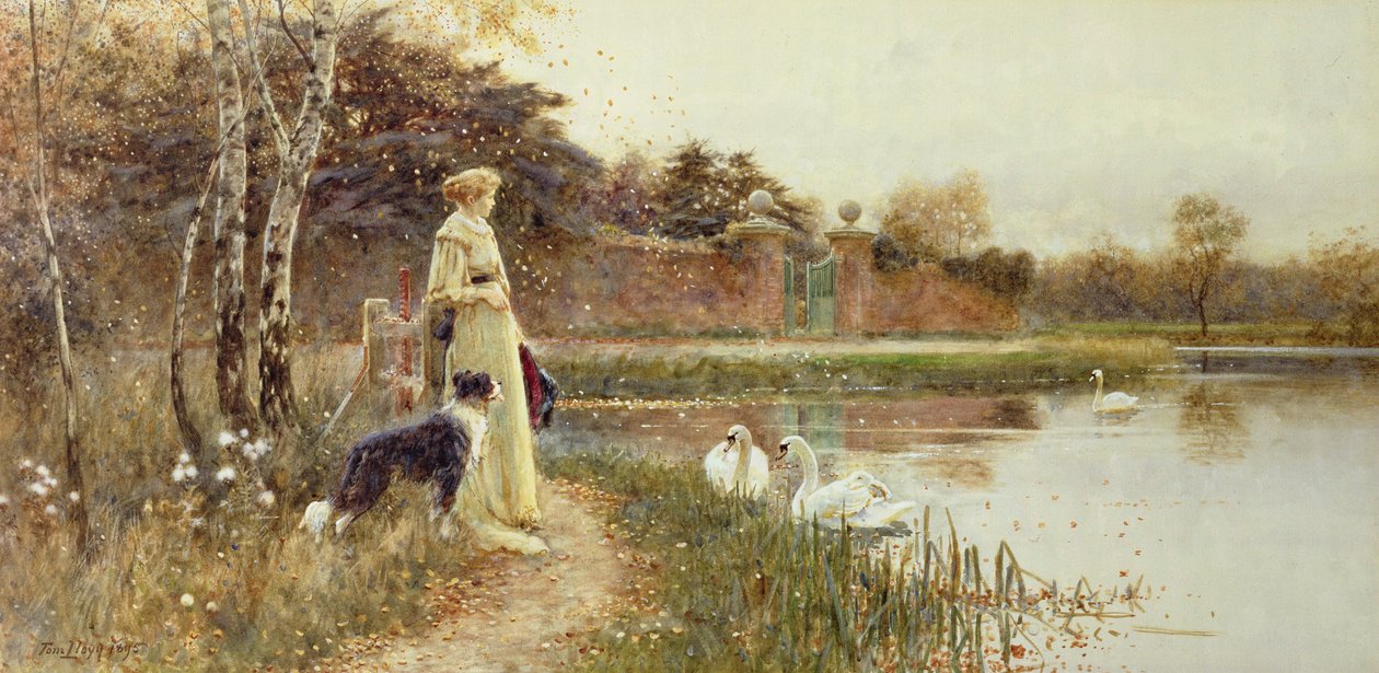 Herbstblätter von Thomas James Lloyd