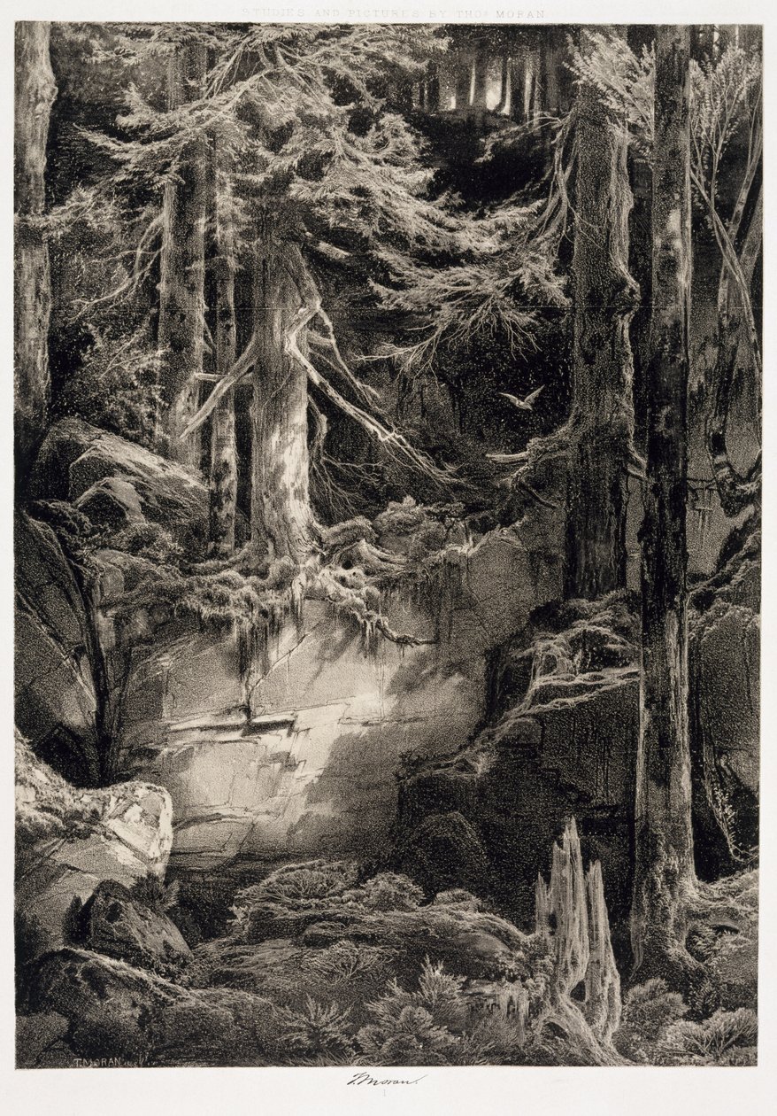 Im Wald von Wissahickon von Thomas Moran