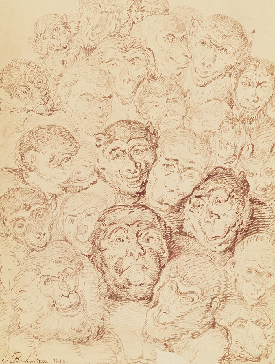 Affen Gesichter, 1815 von Thomas Rowlandson