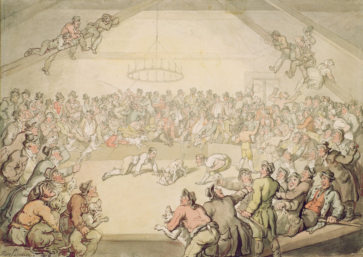 Der Hundekampf von Thomas Rowlandson