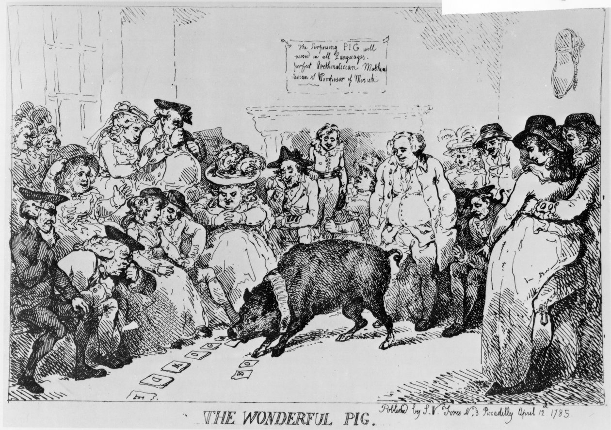 Das Wunderbare Schwein, 1785 von Thomas Rowlandson